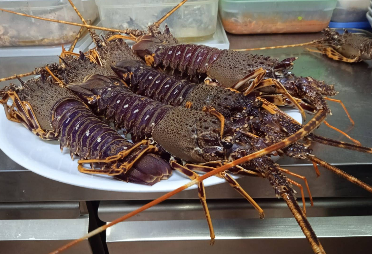 Pescato alla brace